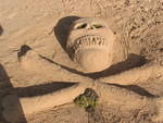 2006_0117_ScullAndCrossBones