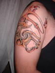 2006_0222_SleveColoredIn.jpg
