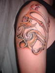 2006_0222_TopOfSleveColoredIn.jpg