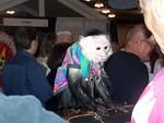 2007_1013AMonkeyInTheMarketPlace.JPG