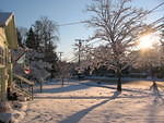 2007_0128BeautifulSnow