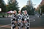 2008_1017TheHerd.JPG