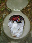 2008_0601Shitter'sFull!.JPG