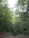 2008_0824OurViewFromCamp.jpg