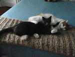 2009_0927TheyLoveEachOther1.JPG