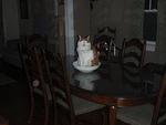 2009_0929StettoInABowl.JPG
