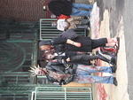 2009_1003MoreFreaks.JPG