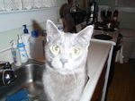 2009_0302MyCounterSurfer.jpg