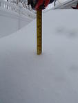 2009_0302SevenInches.jpg