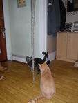 2009_0304AniAndKhensuCheckingOutTheIce.jpg