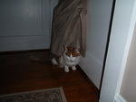2009_0317MySweetStetto.JPG