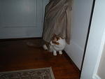 2009_0317WhatsThat.JPG