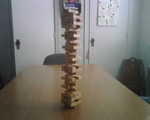 2009_0325HardDaysWork.jpg