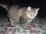 2009_0418Baby.JPG