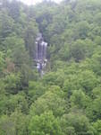 2009_0528Pretty.jpg