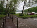 2009_0528SoaringEagle.jpg