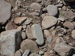 2009_0529Snakes.jpg
