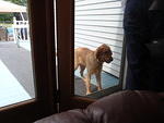 2009_0627Murphy.JPG