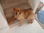 2009_0627MurphyGirl.JPG
