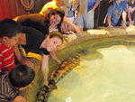 2009_0708BabySharks.JPG