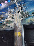 2009_0708DangerZone.JPG