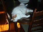 2009_0720Stetto.JPG