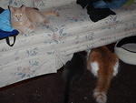 2009_0803SometimesIWonder.JPG