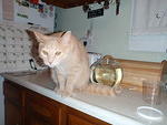 2009_0815AniPouted.JPG