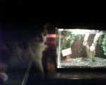 2009_0815StettosNewFriend.jpg