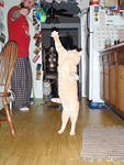 2009_0102AniLeap.JPG