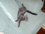 2009_0104KhensuPretzel.JPG