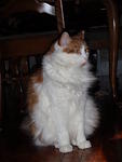 2009_0104StettoProfile.JPG