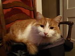 2009_0107Stetto.JPG