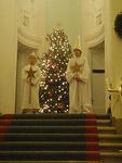 2009_1204Julbord5.JPG