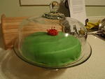 2009_1213MyPrincessTortBirthdayCake.JPG