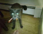 2009_1217KhensuBeingRotten.jpg