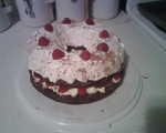 2009_1217XmasPartyCake.jpg