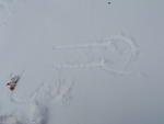 2009_1220Blizzard16.JPG