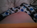 2010-10-23 BjornsSecondEscapeAttempt.jpg