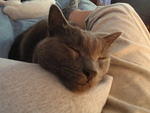 2010_0905SnoozinKhensu.JPG