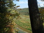 2010_0924Groge2.JPG