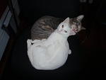2010_0301HemiCleaningHathor1.JPG