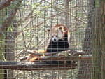 2010_0321Cute.JPG