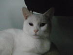 2010_0329Hathor.JPG