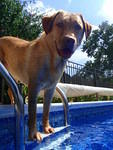 2010_0725WinnieMae.JPG