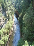 2010_0815Rafters.JPG