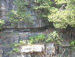 2010_0815WeasleOnTheLedge1.JPG