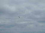 2010_0825ACAirshowRyan4.JPG