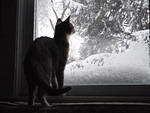 2010_0206WindowHemi.JPG