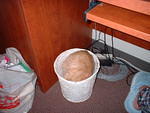 2003_0308TrashKitty1